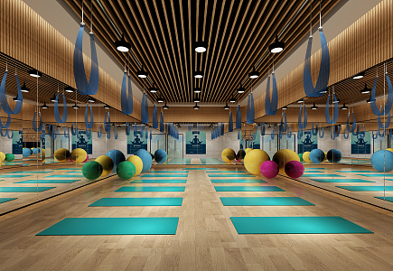 Modern Yoga Room Gym 3d model