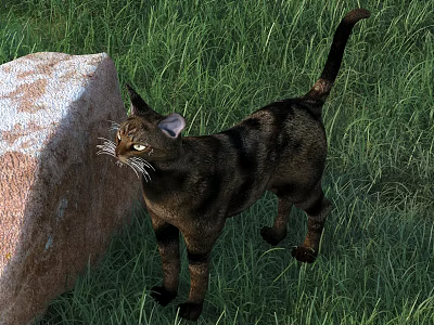 A Brown Cat Standing Beside Large Rock On Green Grass Field 3d model