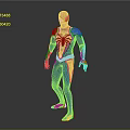 Spider Man 3D Model In Red Blue Suit With Spider Logo Standing Gray Background