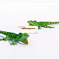 Two Green Striped Lizards With Yellow Throat Fans On White Surface