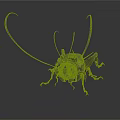 Dark Brown Cricket with Long Antennae and Detailed Body Structure on White Background