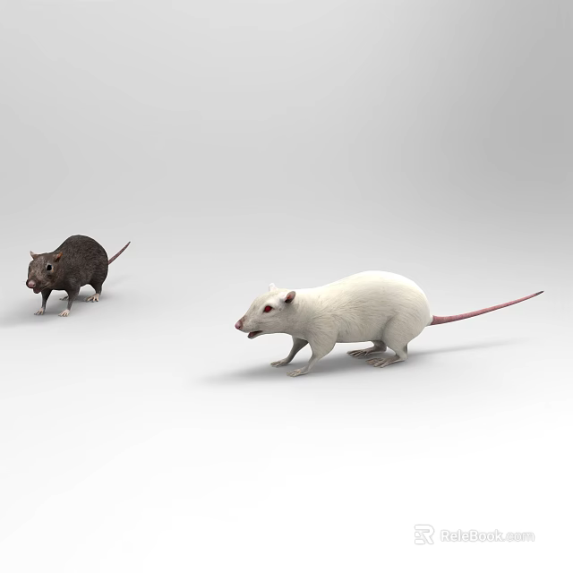 White And Black Reptiles On Plain Background Showcasing Natural Features 3d model 