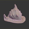 conch bone snail snail field snail shellfish marine animal fish freshwater fish marine fish animal 3d model