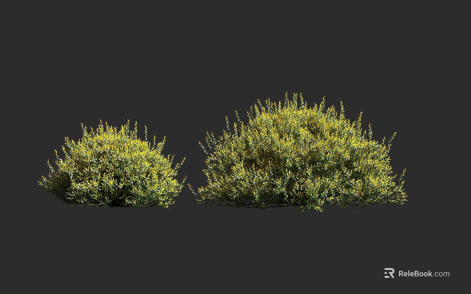Two Lush Green And Yellow Foliage Shrubs On Dark Background 3d model 
