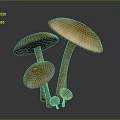 Natural Brown Mushrooms In Various Sizes With Round Caps And Long Stems