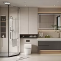 Modern Bathroom Interior With Glass Shower Enclosure Toilet Vanity Mirror And Plants