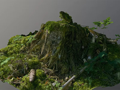 Rustic Stone And Wood Stump Covered With Green Moss And Plants 3d model