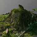 Rustic Stone And Wood Stump Covered With Green Moss And Plants