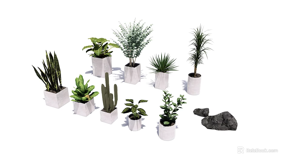 Different Types of Bonsai and Potted Plants in White Pots with Stones 3d model 