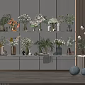 Various Flowers In Different Material Vases On White Shelves With Decorative Lights And Wooden Floor