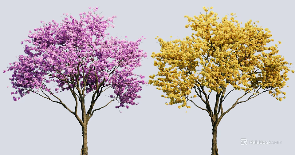 Two Beautiful Side by Side Blooming Trees with Purple and Yellow Flowers 3d model 