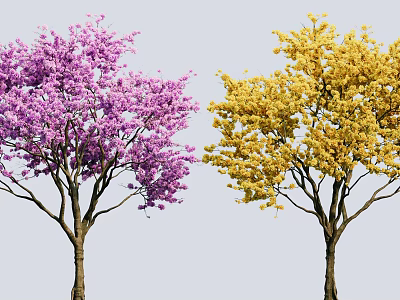 Two Beautiful Side by Side Blooming Trees with Purple and Yellow Flowers 3d model