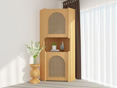 Natural Wooden Cabinet With Rattan Details And Flower Vase Near Curtains 3d model