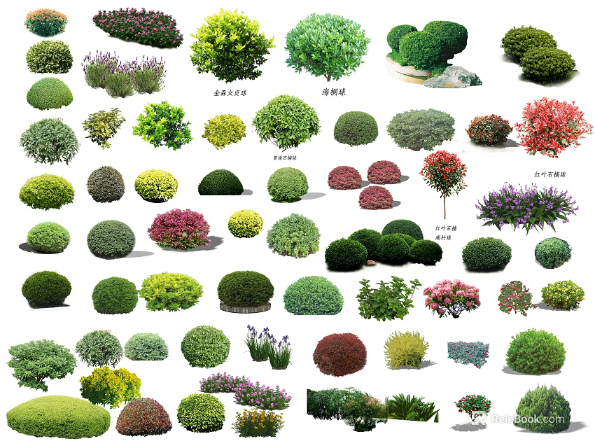 Diverse Ornamental Arbor Varieties Featuring Pruned Shapes And Colorful Foliage For Garden Landscaping 3d model 