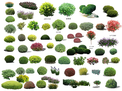 Diverse Ornamental Arbor Varieties Featuring Pruned Shapes And Colorful Foliage For Garden Landscaping 3d model