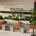 Cozy Milk Tea Shop Featuring Green Plants And Carefully Selected Quality Ingredients