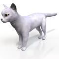 White Cat 3D Model With Standing Pose Green Eyes And White Background