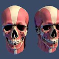 Male Head Muscles And Skeleton Anatomical Model With Detailed Structure On Blue Background