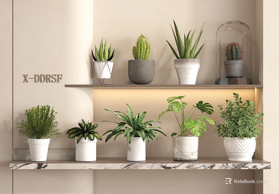 Various Indoor Potted Plants Arranged on Shelves with Marble Countertop and Lighting 3d model 