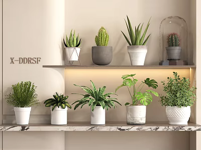 Various Indoor Potted Plants Arranged on Shelves with Marble Countertop and Lighting 3d model