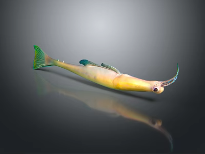 Vibrant Yellow Fish with Green Tail Fins Long Snout and Reflection on Dark Background 3d model