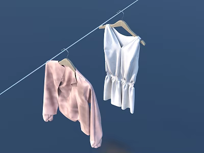 Clothes Hanging on Clothesline with Pink Coat White Dress and Wooden Hangers Against Blue Background 3d model