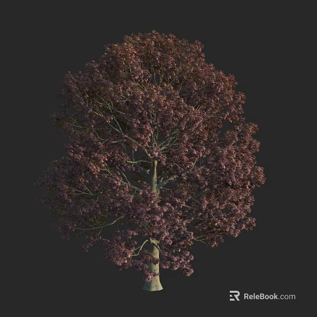 Purple Leaved Arbor With Lush Foliage And Strong Trunk For Garden Landscaping 3d model 