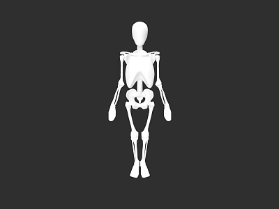 Male Human Skeleton 3D Model Anatomical Structure White On Black Background 3d model