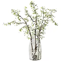 Decorative Transparent Vase Holding White Small Flowers And Green Leafy Branches