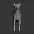 Minimalist Low Poly Hyena Model With Spotted Pattern And Standing Pose 3d model