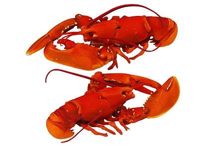 Two Red Reptile Lobsters With Large Claws On White Background 3d model