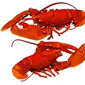 Two Red Reptile Lobsters With Large Claws On White Background 3d model