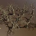 Dry Leafless Trees in Natural Forest Landscape with Shadowy Trunks and Branches 3d model