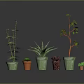 Various Types Of Green Plants In Different Size And Color Pots Against Gray Background