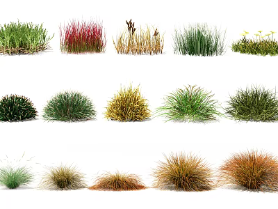 Different Varieties of Ornamental Shrubs Featuring Clumping Growth and Colorful Foliage for Garden Landscaping 3d model