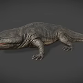 Giant Salamander With Gray Textured Skin And Open Mouth On Gray Background