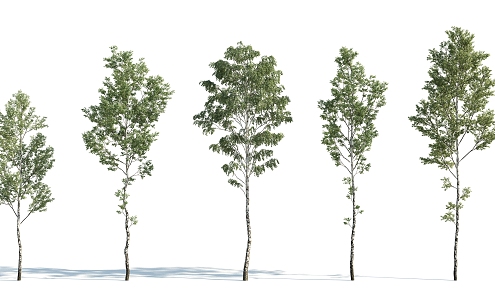 The Modern Tree 3d model