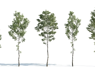 The Modern Tree 3d model