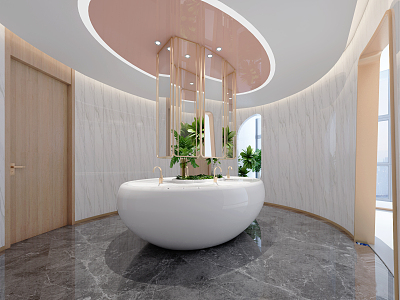 Light luxury toilet washbasin model