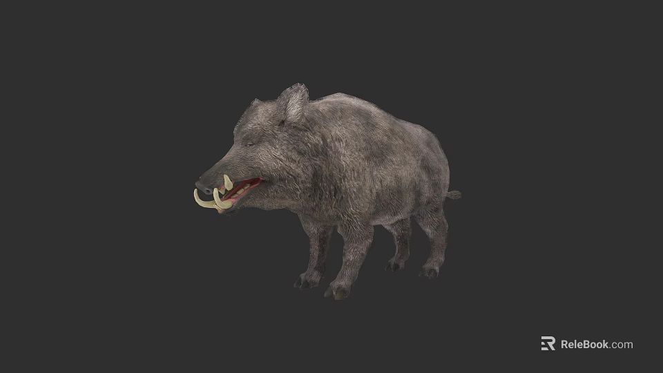 Wild Boar With Gray Fur And Prominent Tusks In Standing Posture 3d model 