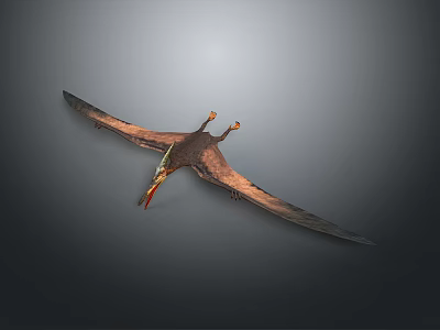 Ancient Pterosaur Flying With Expanded Wings And Orange Beak In Gray Sky 3d model