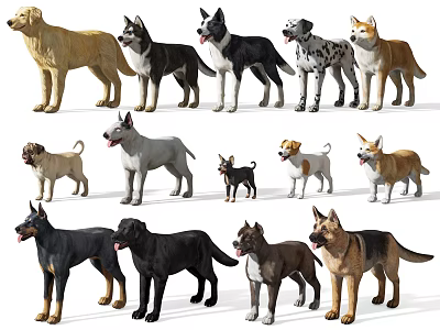 Different Dog Breeds Models In Various Colors And Poses Arranged In Rows 3d model
