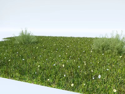 Lush Green Grassland With Scattered White Flowers And Green Shrubs 3d model