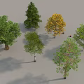 Various Types of Arbor Trees with Green and Yellow Foliage in Natural Scene