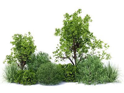 Green Shrubs With Various Types And Lush Foliage For Garden Landscaping 3d model