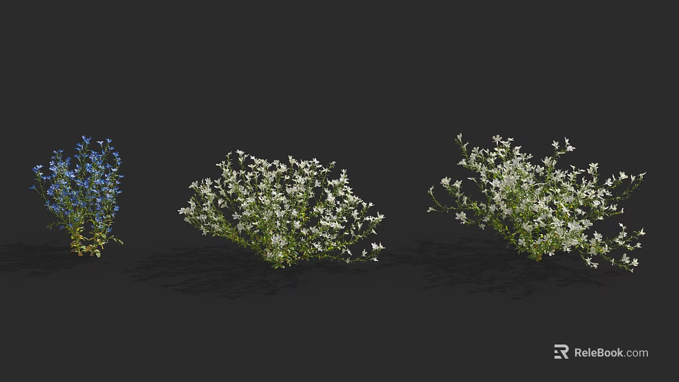 Beautiful Blue And White Flowering Plants In Dark Background 3d model 