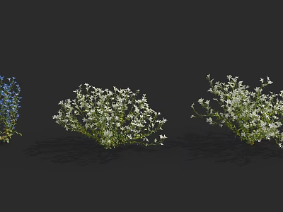 Beautiful Blue And White Flowering Plants In Dark Background 3d model