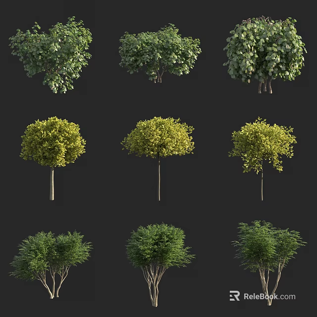 Different Types of Garden Shrubs with Green and Yellow Foliage Shapes 3d model 