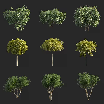 Different Types of Garden Shrubs with Green and Yellow Foliage Shapes 3d model