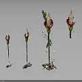 Four Unique Flower Buds with Red and White Petals on Green Stems and Decorative Bases